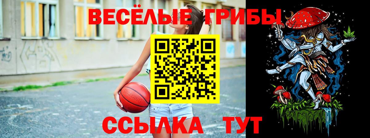 Псилоцибиновые грибы GOLDEN TEACHER  Вход с VPN  Щёкино 
